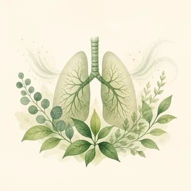 Respiratory care illustration